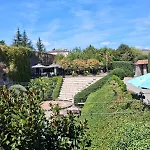 Dinamo Oda ve Kahvaltı *